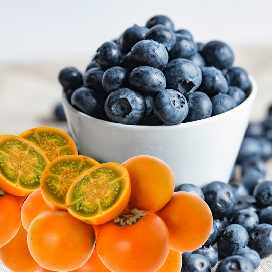 Lulo Blueberry Jam – Bright, Tangy & Exotic